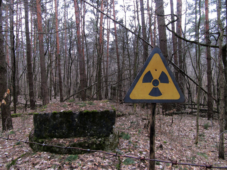 nuclear, Red forest, Chernobyl, radiation