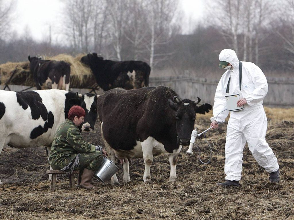 nuclear, Chernobyl, The Zone, radiation 